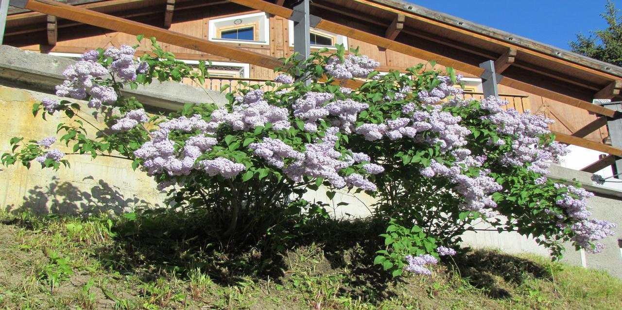 Hotel Duc De Rohan Livigno Exterior foto